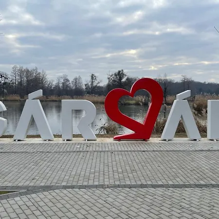 Rubin Relax Sarvar