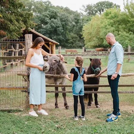 Rubin Relax Apartmán *